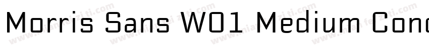 Morris Sans W01 Medium Cond字体转换